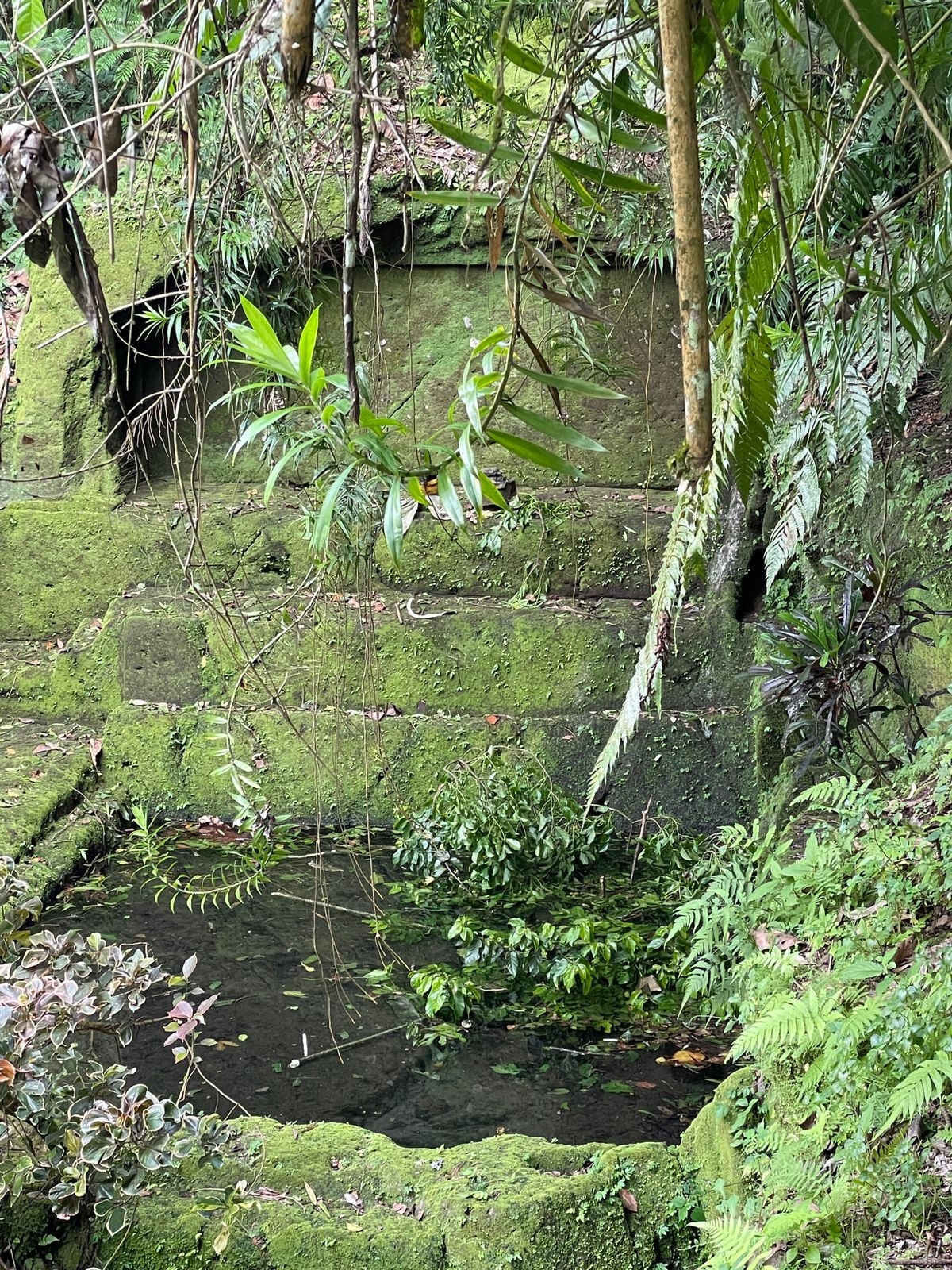 Info berita,Layanan PDAM,Kegiatan PDAM,gangguan layanan pdam,Berita PDAM,PERUMDA AMTS,PERUMDA AMTS Kabupaten Gianyar