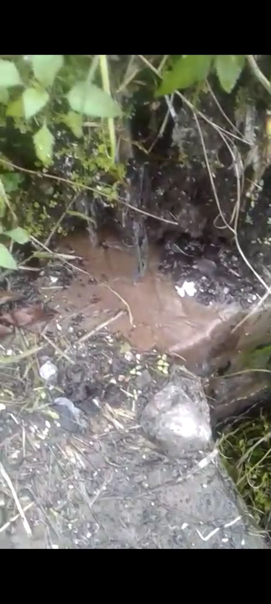 Info berita,Layanan PDAM,Kegiatan PDAM,gangguan layanan pdam,Berita PDAM,PERUMDA AMTS,PERUMDA AMTS Kabupaten Gianyar