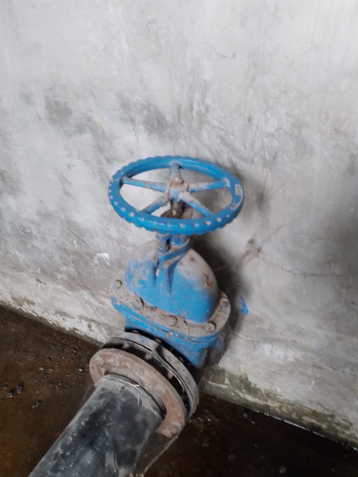 Info berita,Layanan PDAM,Kegiatan PDAM,gangguan layanan pdam,Berita PDAM,PERUMDA AMTS,PERUMDA AMTS Kabupaten Gianyar