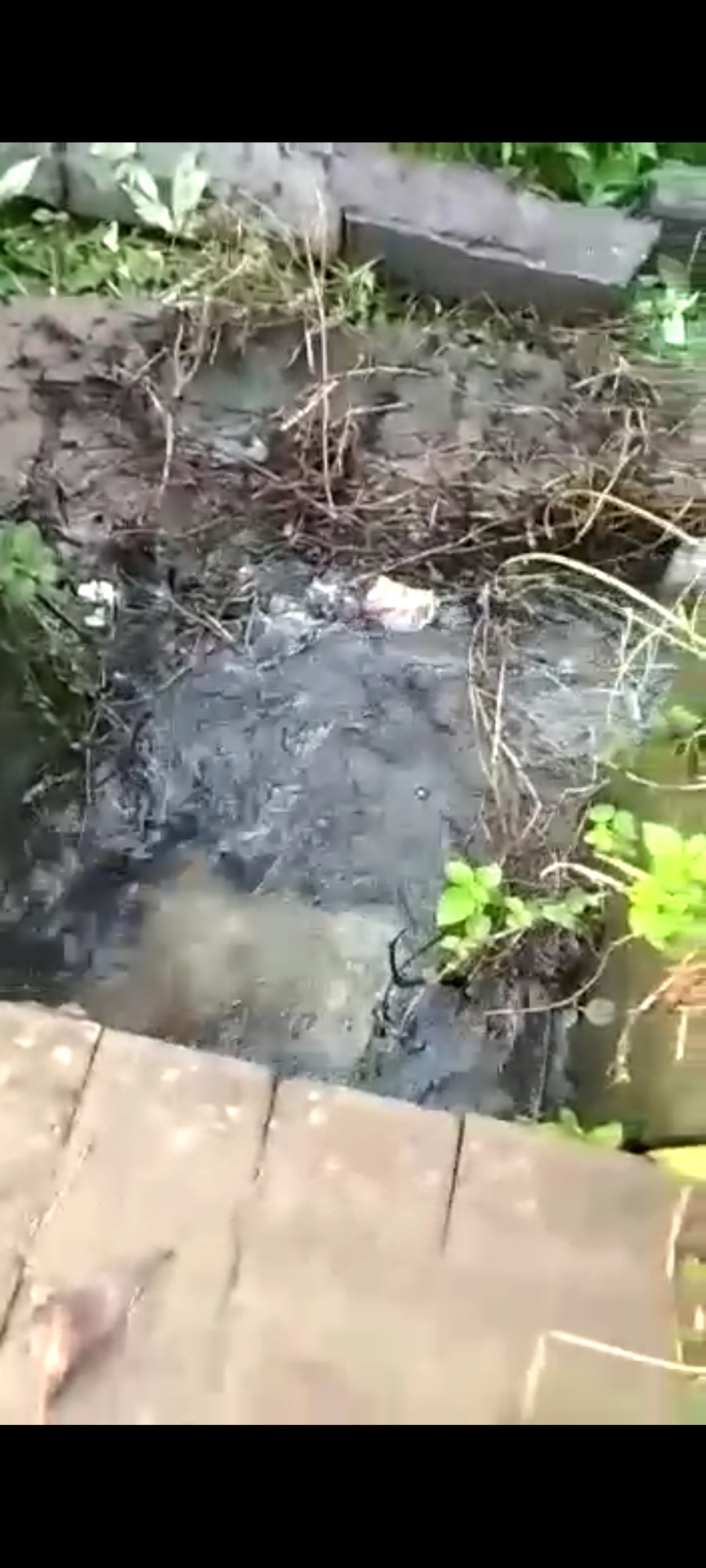 Info berita,Layanan PDAM,Kegiatan PDAM,gangguan layanan pdam,Berita PDAM,PERUMDA AMTS,PERUMDA AMTS Kabupaten Gianyar