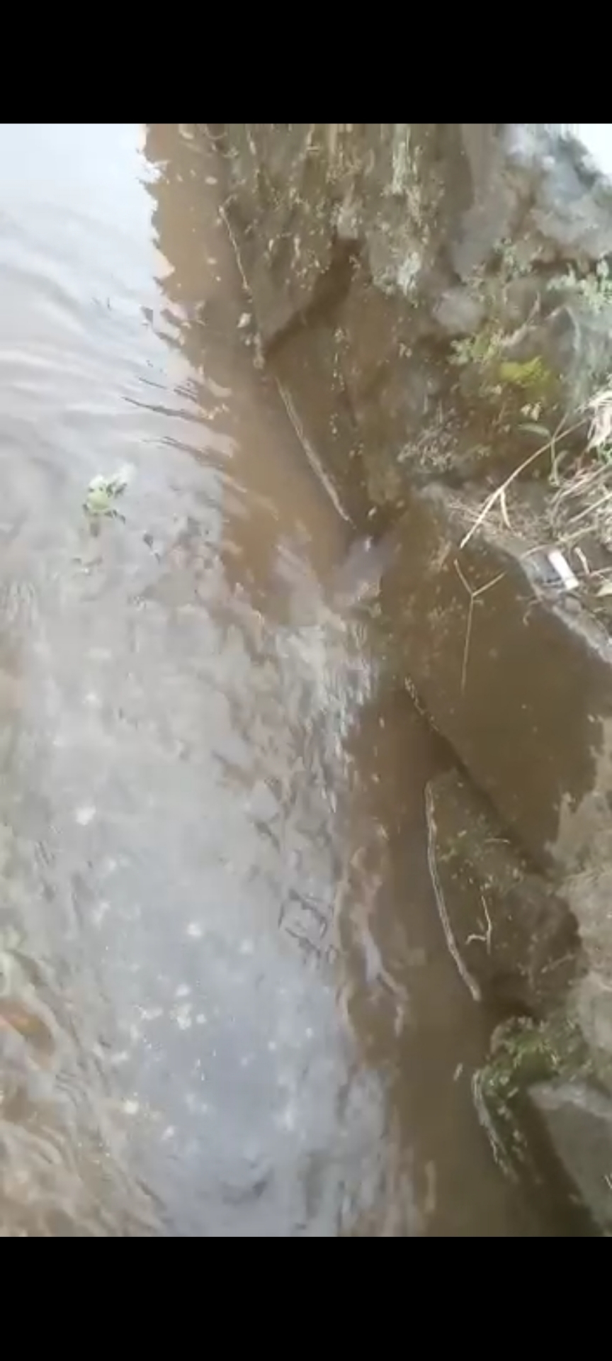 Info berita,Layanan PDAM,Kegiatan PDAM,gangguan layanan pdam,Berita PDAM,PERUMDA AMTS,PERUMDA AMTS Kabupaten Gianyar