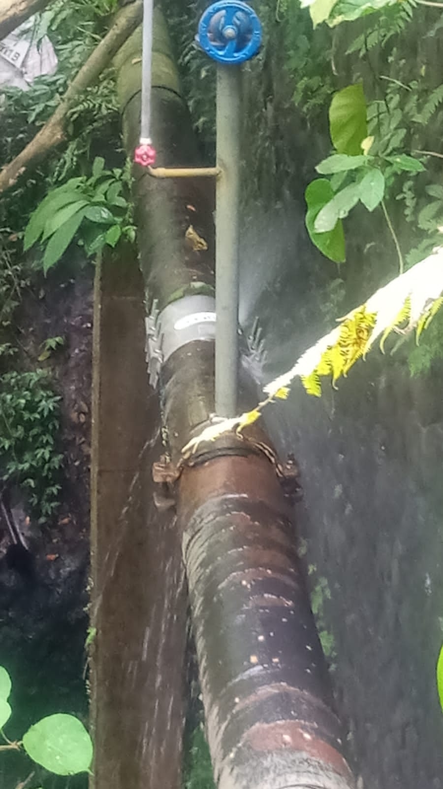 Info berita,Layanan PDAM,Kegiatan PDAM,gangguan layanan pdam,Berita PDAM,PERUMDA AMTS,PERUMDA AMTS Kabupaten Gianyar