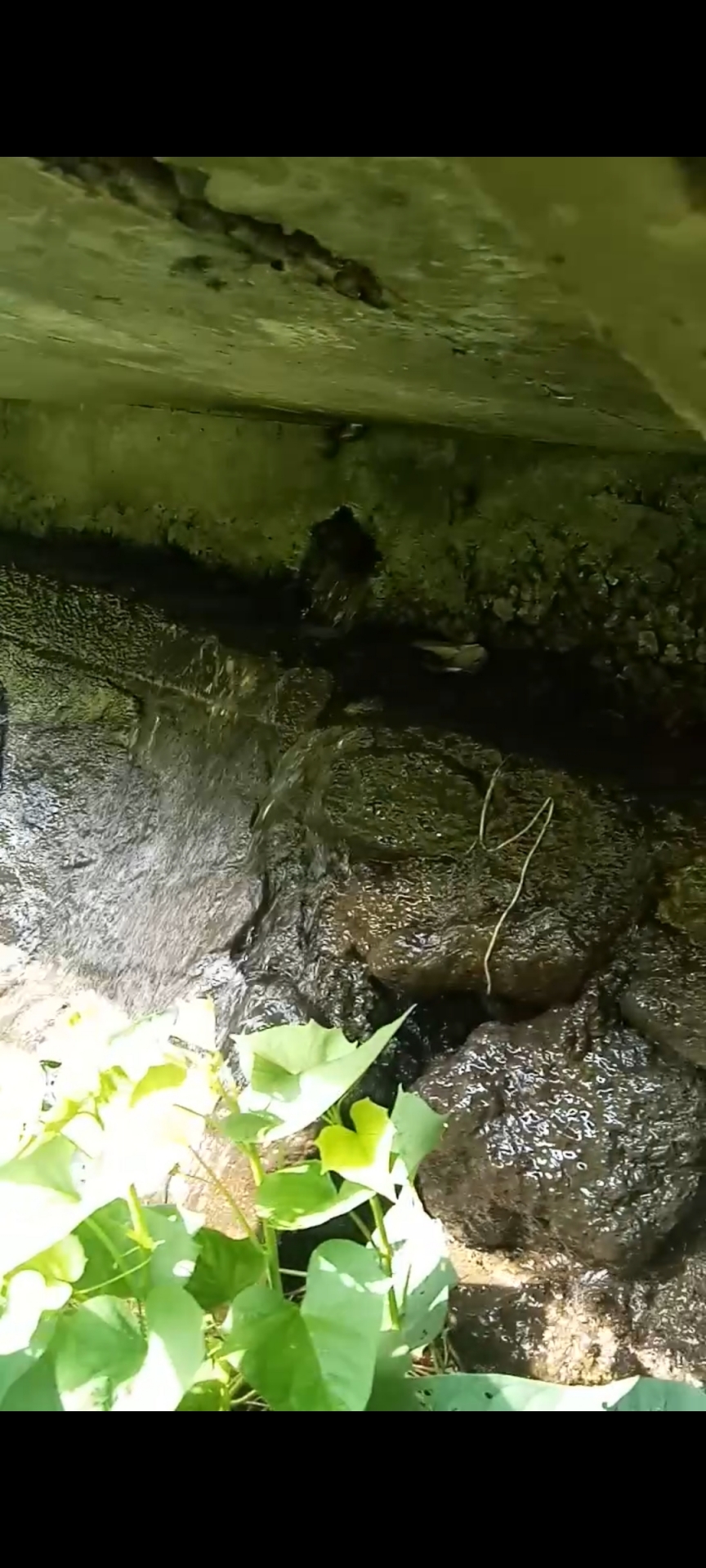 Info berita,Layanan PDAM,Kegiatan PDAM,gangguan layanan pdam,Berita PDAM,PERUMDA AMTS,PERUMDA AMTS Kabupaten Gianyar