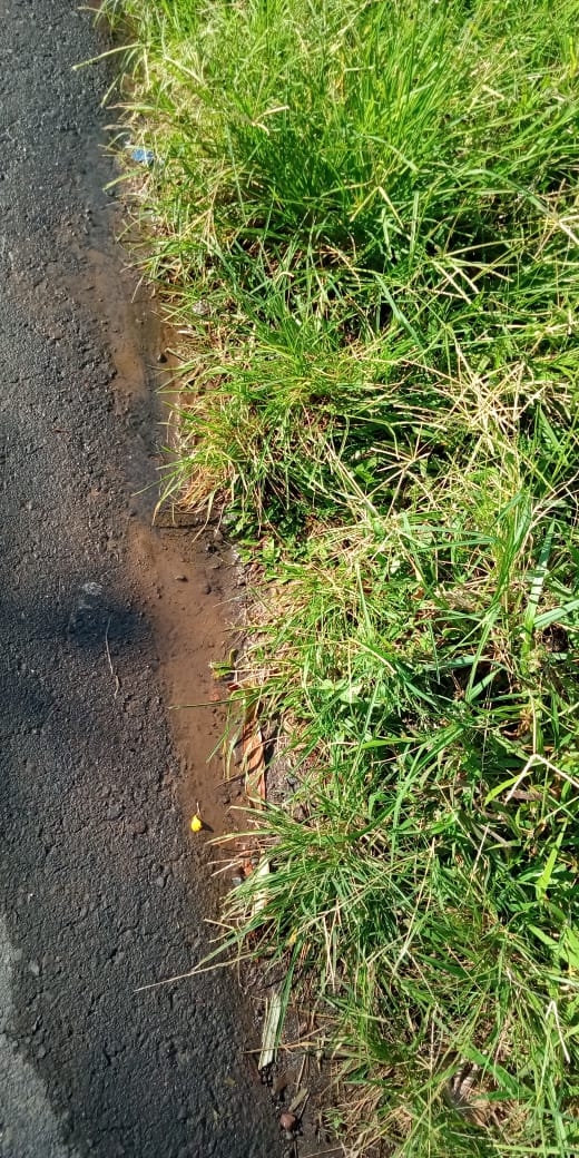 Info berita,Layanan PDAM,Kegiatan PDAM,gangguan layanan pdam,Berita PDAM,PERUMDA AMTS,PERUMDA AMTS Kabupaten Gianyar